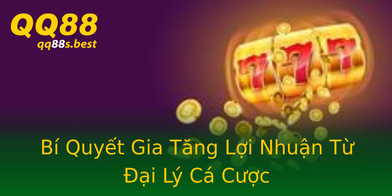 Bí Quyết Gia Tăng Lợi Nhuận Từ Đại Lý Cá Cược