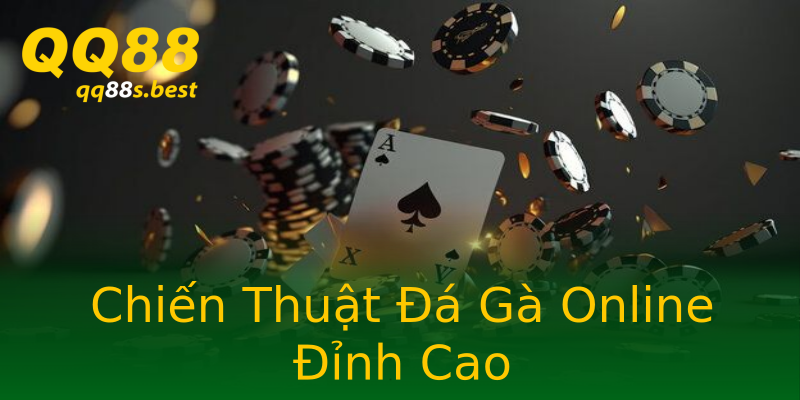 Chiến Thuật Đá Gà Online Đỉnh Cao