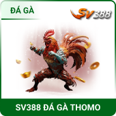 Sv3002